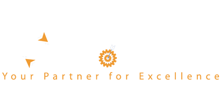 2OE CONSULTING